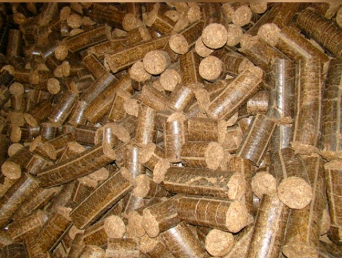 BIOMASS COAL